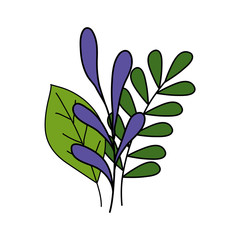 leaves icons design of Floral nature plant garden ornament botany decoration and life theme Vector illustration