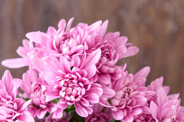 Close up of bouquet of pink chrysanthemums, wood table as background
