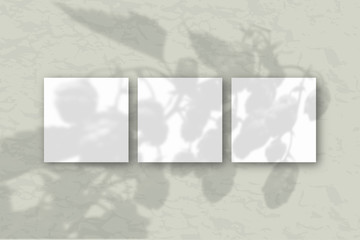 3 square sheets of white textured paper against a gray wall. Mockup overlay with the plant shadows. Natural light casts shadows from the tops of field plants and flowers. Flat lay, top view