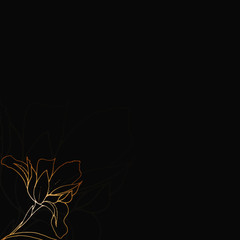 A flower drawn with a gold line on a black background. Template for a postcard, invitation, or banner. Vector graphics.