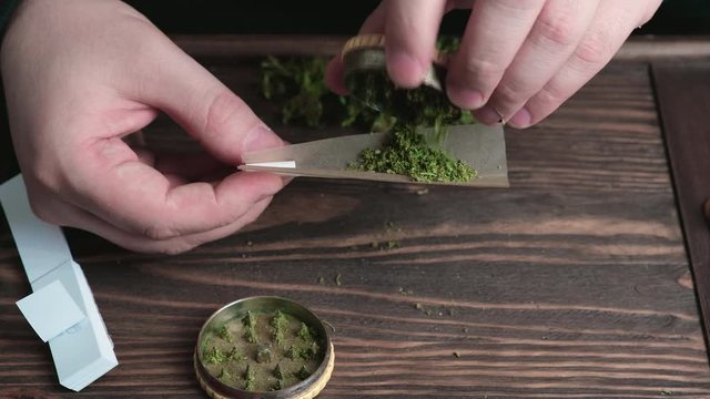 Man fill cigarette paper for hand made cannabis joint with shredded cannabis buds over the wooden desk with marijauna buds and yellow metal grinder on it.