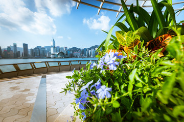People taking a walk on the Hong Kong harbour promenade 