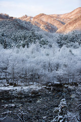 snow covered mountain