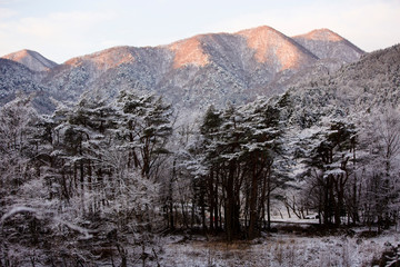 winter in the mountains