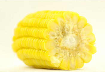 Part of sweet corn isolated with clipping path