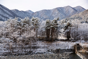 winter in the mountains