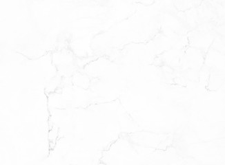 white background marble wall texture