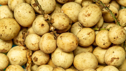 Closeup of Langsat / Lanzones fruit, juicy tropical fruit from South East Asia