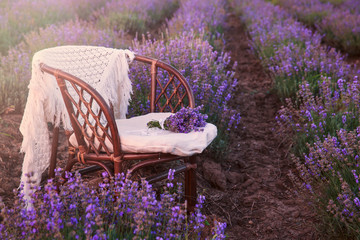 Original wedding decoration in lavender flowers. Sunset in the lavender garden, silence, peace,...