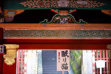 sleeping cat.  
nikko japan.
