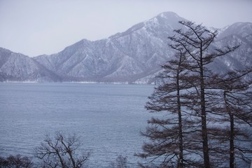 snow covered mountains