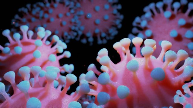 close-up coronavirus type covid-19, h1n1, bird flu or swine flu move smoothly in fluid 3d representation of virus as microbiological microscopic looped background. Red blue gradient 6