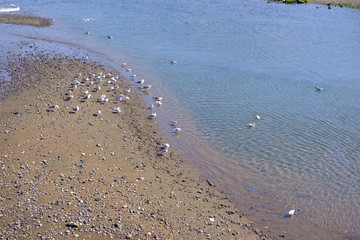 静岡県伊東市のオレンジビーチ