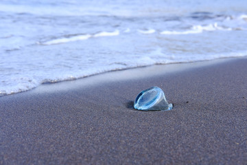 静岡県伊東市オレンジビーチ
