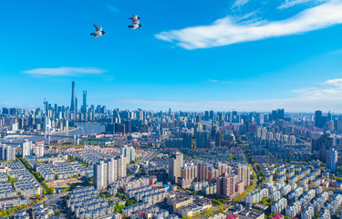 City scenery around Nanpu Bridge, Shanghai, China