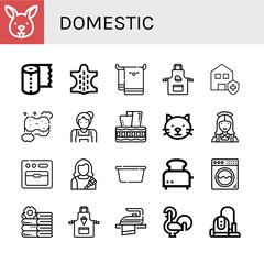 domestic icon set