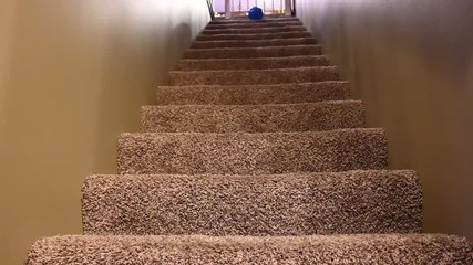 slow motion blue bouncy ball falling down carpeted stairs 