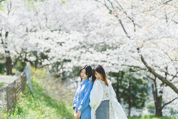 Naklejka premium 桜と女性