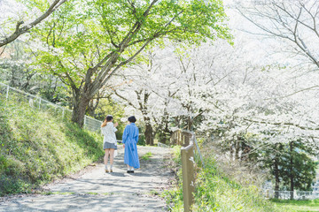 桜と女性