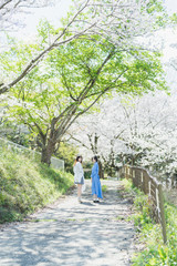 桜と女性