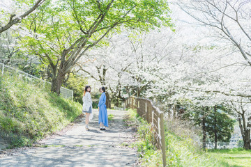 桜と女性