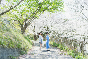 桜と女性