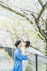 Fototapeta premium 桜と女性