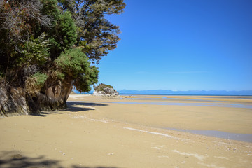 panoramic photo of new zeland landscape