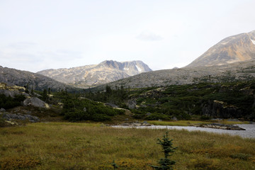 Skagway, Alaska / USA - August 10, 2019: White pass landscape view, Skagway, Alaska, USA