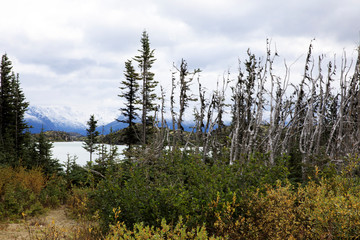 Skagway, Alaska / USA - August 10, 2019: White pass landscape view, Skagway, Alaska, USA