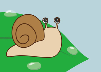 葉の上にいるかたつむり