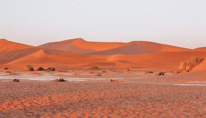 Fototapeta na wymiar beautiful morning sunrise landscape, hidden Dead Vlei in Namib desert, view from top of dune with sun, Namibia, Africa wilderness landscape