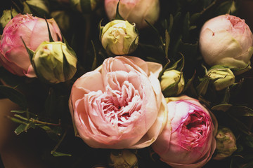 Pink Roses on a Dark Background. Bouquet of Tender Peonies