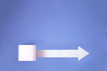 A beautiful roll of toilet paper on the plain background with outer place for adding text