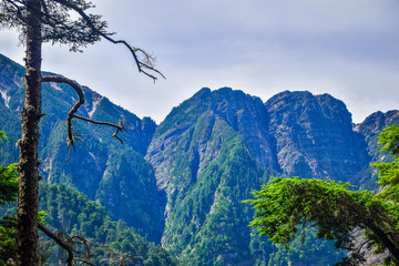 The Highest Mountain on Taiwan Island - Mt.Jade Mountain/YUSHAN  Landscape