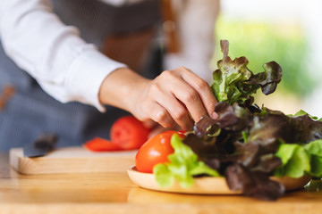 Closeup image of a woman chef prepare lettuce and vegetables to cook in kitchenCloseup image of a woman chef prepare lettuce and vegetables to cook in kitchen