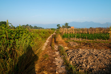 To a distant country road