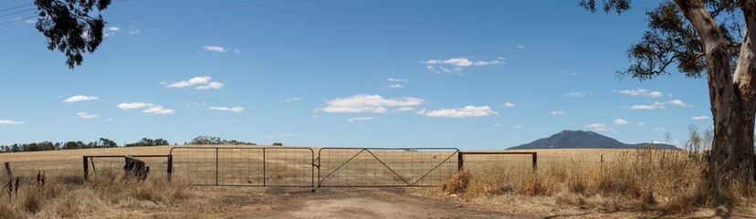 panorama of recently harvested farm fields shut off with closed farm gates framed by gum trees,...