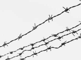 Security Fence In Prison