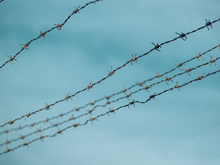 Security Fence In Prison