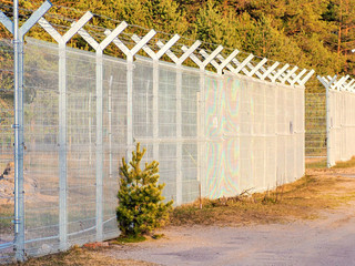 Security Fence In forest