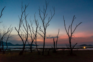 Beautiful sunset on the reservoir, a reflection of silhouettes dry tree, Thailand.