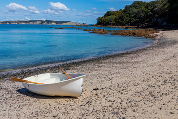 Boat on a beach at Tiritiri Island in New Zealand