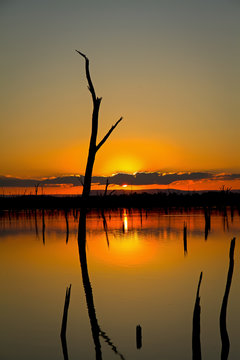 Sunrise at Lake Nuga Nuga, Queensland