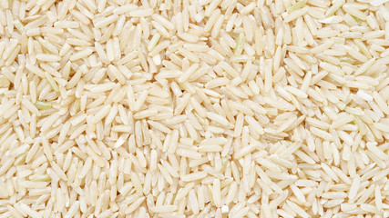 close up shot of the rice background