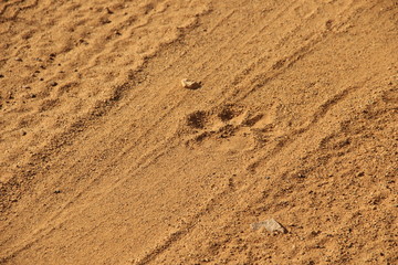 traces on sand