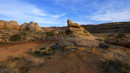 Beautiful landscape at Cayonlands National Park - travel photography