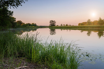 Small quiet river against the forest in the sunlight. Summer landscape