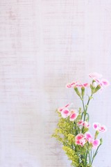 Pink and white dianthus flowers. Sweet bouquet on a white background.