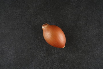 Fresh Red onion stock photo
